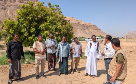 مدير عام مديرية تريم يزور مزرعة البحوث الزراعية بالمديرية