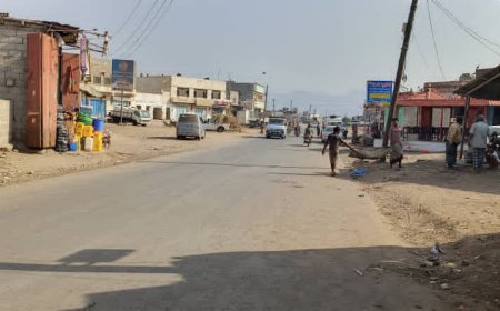 رغم الصعوبات..صندوق نظافة أبين يواصل رسالته في شقرة