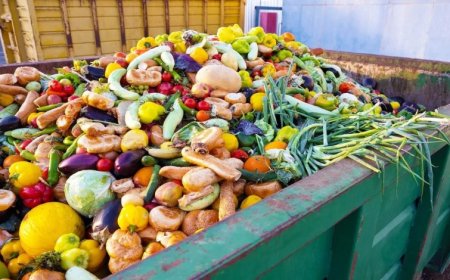 الدول الغنية تهدر كميات أكبر من الطعام لكل فرد.. 132 كجم للفرد سنويًا