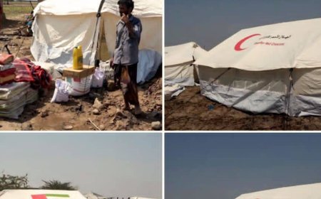 الحديدة.. خلية الأعمال الإنسانية تقدم مساعدات إيوائية وغذائية طارئة لأربع أسر نازحة متضررة من حريق في بيت مغاري بحيس.
