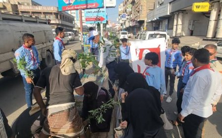 تدشين حملة تشجير شوارع مدينة تعز بـ5000 ألف شجرة 