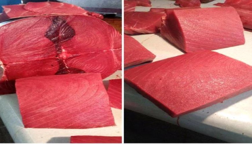 أسعار الأسماك صباح اليوم الخميس 4 سبتمبر بالعاصمة عدن