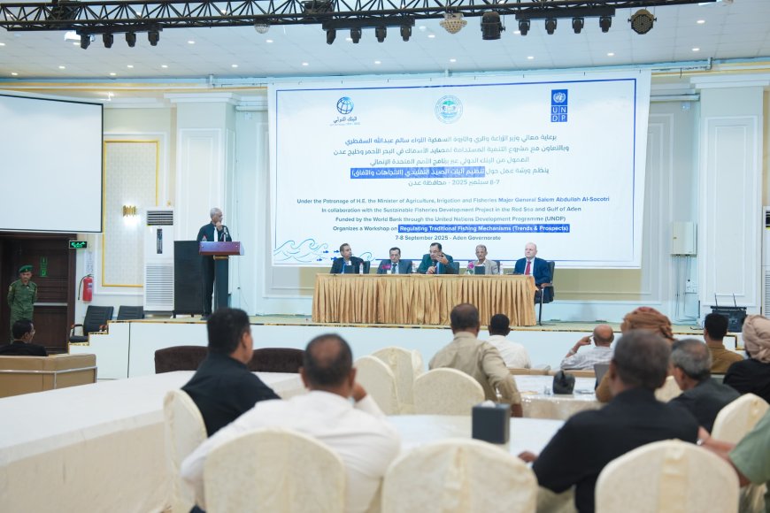 الوزير السقطري يدشن ورشة عمل حول تحديث لائحة تنظيم آليات الصيد التقليدي