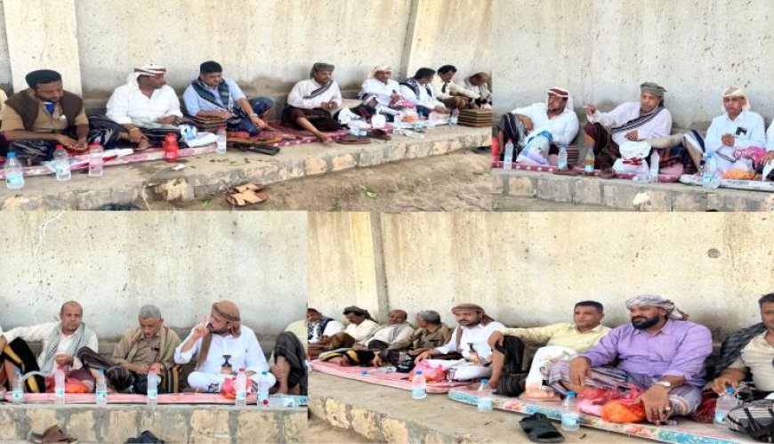 وفد بارز من مشايخ وقيادات تهامة يلتقي محافظ أبين ومدير أمنها