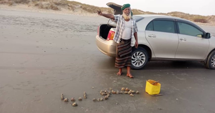من شاطئ رضوم الذهبي.. الكابتن أبو موسى يوثّق حبه للجنوب بلمسة بحرية ومحار الوطن