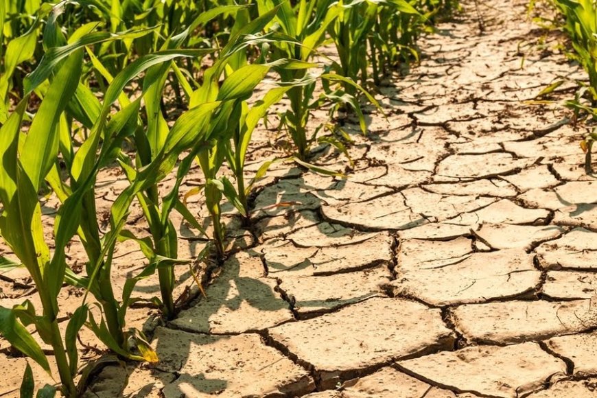 قمة المناخ 2025 بالأمم المتحدة .. محطة حاسمة على طريق مؤتمر المناخ COP30 في البرازيل