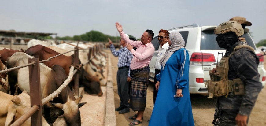 من الغذاء الفاسد إلى الأمن الغذائي نيابة الصناعة بعدن تتلف ٤٨٥ كيس دقيق فاسد بتحويله إلى أعلاف للمواشي