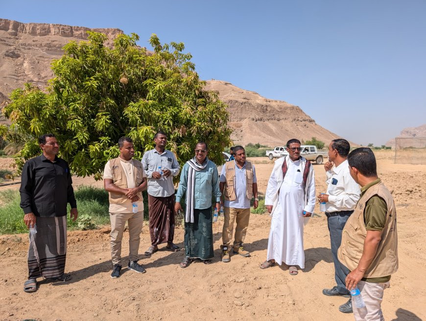 مدير عام مديرية تريم يزور مزرعة البحوث الزراعية بالمديرية