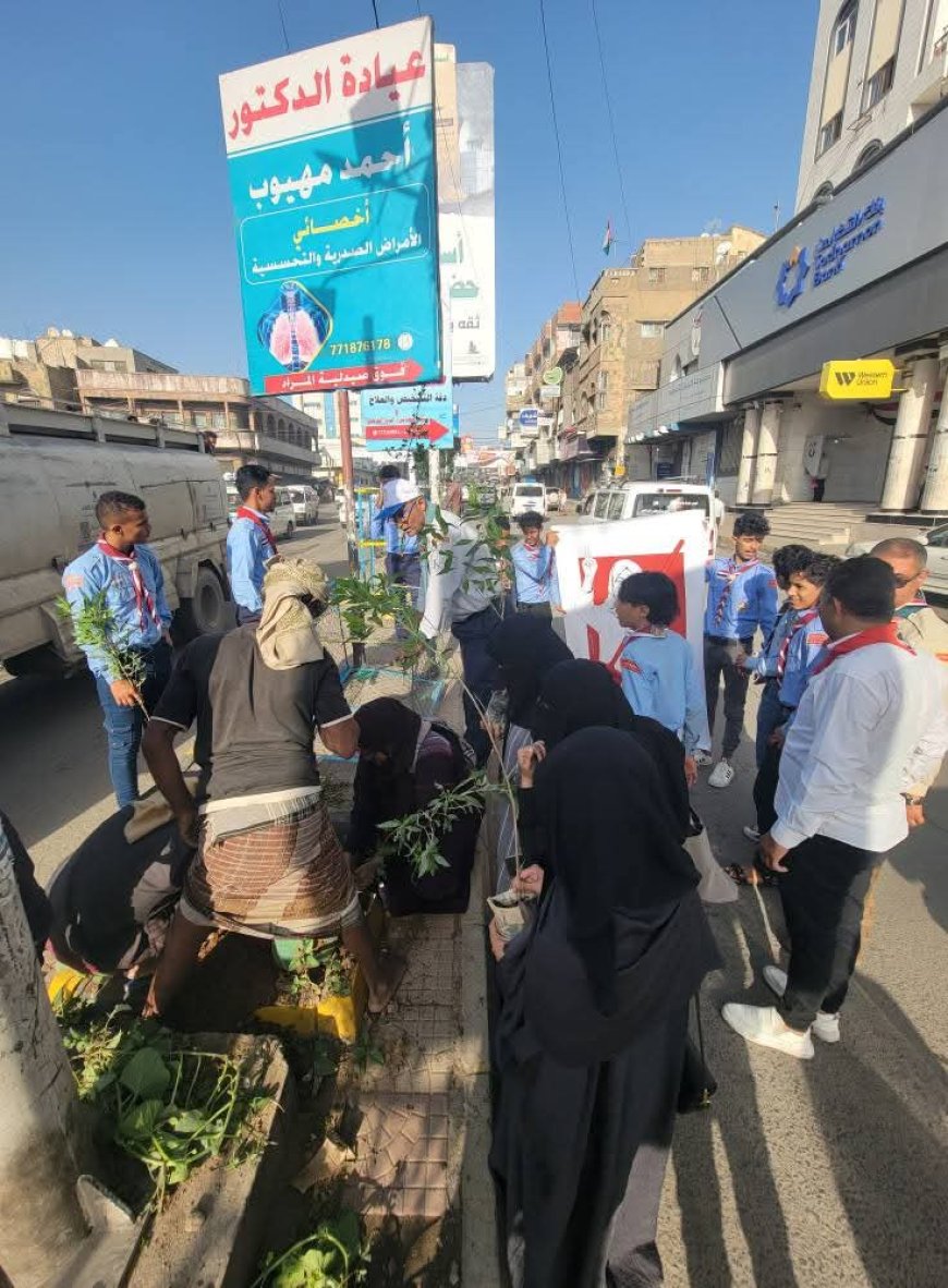 تدشين حملة تشجير شوارع مدينة تعز بـ5000 ألف شجرة 