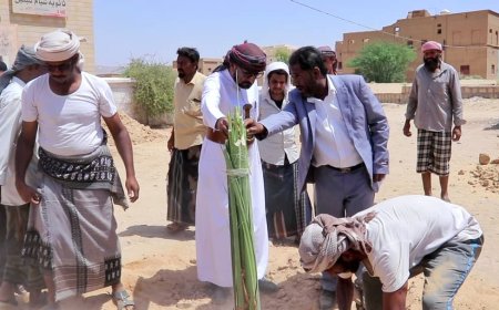 مدير عام شبام ومدير عام مكتب وزارة الزراعة بالوادي يدشنان مشروع زراعة 200 نخلة بالمديرية كمرحلة أولى