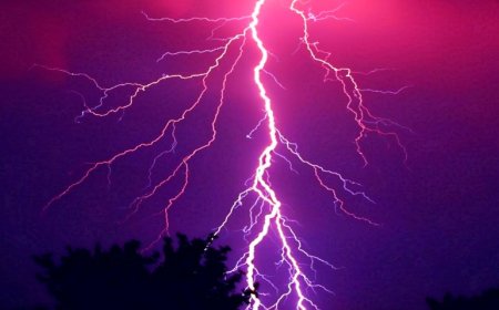 تعز.. صاعقة رعدية تتسبب بنفوق 15 رأسًا من الإبل في الشمايتين