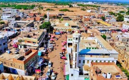 عش غربان كاد يتسبب بكارثة في زنجبار
