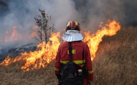 الحرائق تقتل أكثر وتكلف المليارات ,تهدد الاقتصاد العالمي.. خبراء يحذرون من عصر جديد من الكوارث