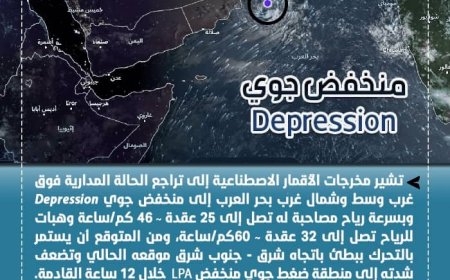 الأرصاد الجوية: الحالة المدارية في بحر العرب تراجعت إلى منخفض جوي ولا تأثير مباشر على بلادنا