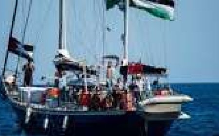 إسرائيل تهاجم أسطول الحرية بالمياه الدولية وتحتجز سفنه