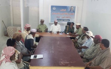 تحالف "عماد" يشعل روح أكتوبر من القطن نحو شبام بقيادة المهندس محمد صالح بهيان