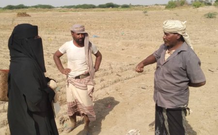 مؤسسة العُلا التنموية.. بصمة خير في قلب أبين