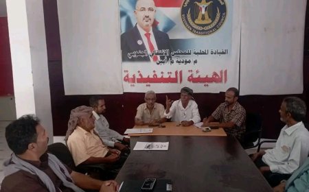 تنفيذية انتقالي مودية تناقش التحضيرات للاحتفاء بذكرى ثورة 14 أكتوبر
