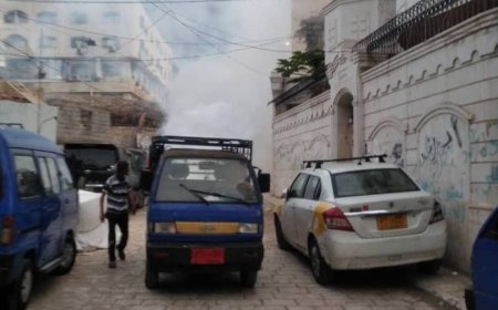 صحة البيئة بصيرة يواصل حملات الرش الضبابي في أحياء المديرية