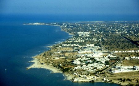 دجرْبة التونيسية تصارع الزمن وتغير المناخ لحماية حضارتها العريقة