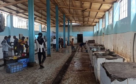 إشادة بجهود النظافة والتنظيم في سوق الأسماك بزنجبار