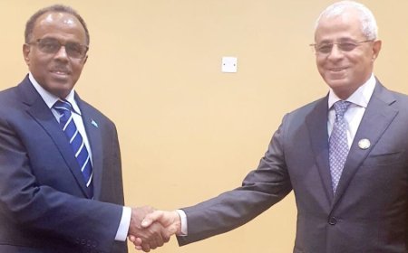 نائب وزير الخارجية يلتقي نظيريه الصومالي والسوداني في كامبالا ويبحث معهم تعزيز التعاون والتنسيق المشترك