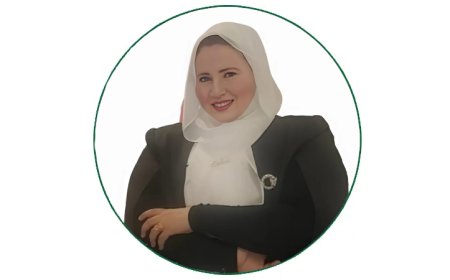 د.هبة محمد إمام: استراتيجيات صناعية خضراء.. خارطة طريق شاملة للحد من التلوث