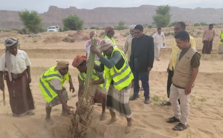 ضمن مبادرة "في بيئتنا نخلة".. السلطة المحلية بمديرية تريم تدشن توزيع شتلات زراعية ضمن مشروع "من الغذاء إلى الصمود"
