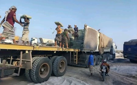 استمرار العمل الميداني لضبط الحمولات الزائدة في ميناء المعلا بعدن