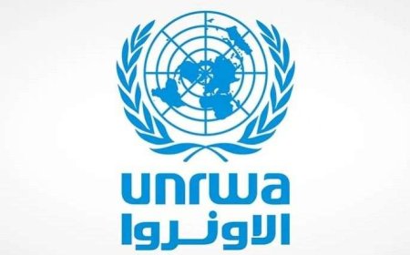بسبب تدمير إسرائيل الأراضي الزراعية.. الأونروا تحذر من ارتفاع أسعار المواد الغذائية في غزة
