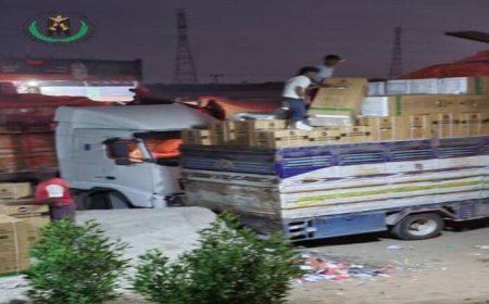 إحباط تهريب مبيدات حشرية منتهية الصلاحية يمنع كارثة صحية محتملة
