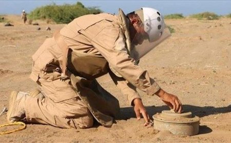 نزع أكثر من 3 آلاف لغم حوثي منذ بداية الشهر الجاري
