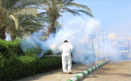 مؤسسة يمان للتنمية الصحية تدشن حملة الرش الضبابي لمكافحة نواقل الأمراض بالحديدة