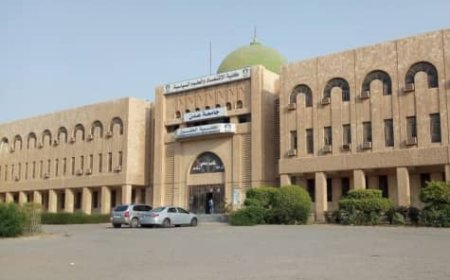 أكاديمي بجامعة عدن: أكثر من 900 كادر جامعي بلا وظائف رسمية… فمن ينصفنا يا عالم؟