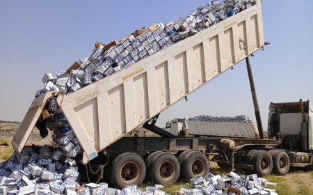 صحة البيئة في المنصورة تتلف 3000 كرتون من الأجبان غير صالحة للاستهلاك