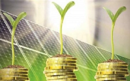 مصر تُسرّع خطواتها نحو الاقتصاد الأخضر بخطط لخفض الانبعاثات