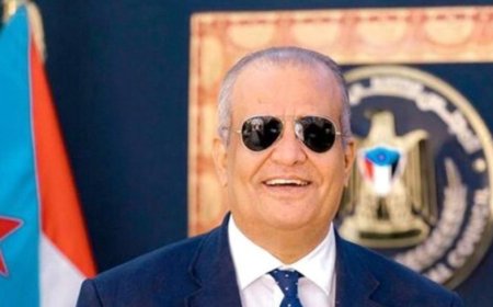 شطارة: وزراء الانتقالي يثبتون أنهم رجال دولة حقيقيون داخل الحكومة