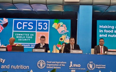 وزير الزراعة والري والثروة السمكية يشارك في أعمال الدورة الـ53 للجنة الأمن الغذائي العالمي ( CFS) في روما
