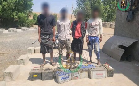 قوات الحزام الأمني في لحج تضبط عصابة تمتهن النشل والسرقة من الشاحنات