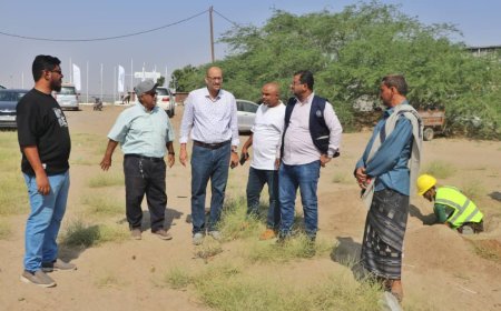 باخبيرة والكلدي من الهجرة الدولية يتفقدان موقع مشروع محطة طاقة شمسية في حقل بئر أحمد
