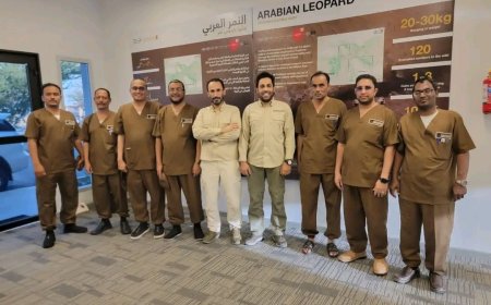 وفد من محافظة المهرة يشارك في ورشة عمل حول المحافظة على الحياة الفطرية وتكاثر النمر العربي