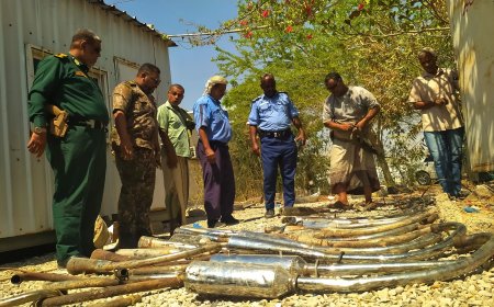 شرطة السير بأمن وشرطة ساحل حضرموت تضبط عددًا من الدراجات النارية المخالفة