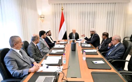 مجلس القيادة يؤكد أهمية تكامل السلطات وتقديم الدعم والحماية اللازمة للمواطنين في المحافظات غير المحررة