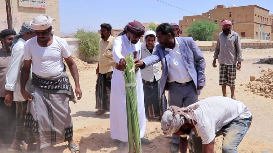 مدير عام شبام ومدير عام مكتب وزارة الزراعة بالوادي يدشنان مشروع زراعة 200 نخلة بالمديرية كمرحلة أولى