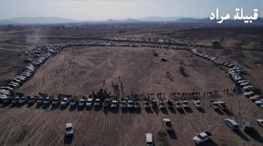 قبائل مراد في مأرب تدعو لتوحيد الصف مع الجنوب وتؤكد: زمن الإقصاء قد ولّى