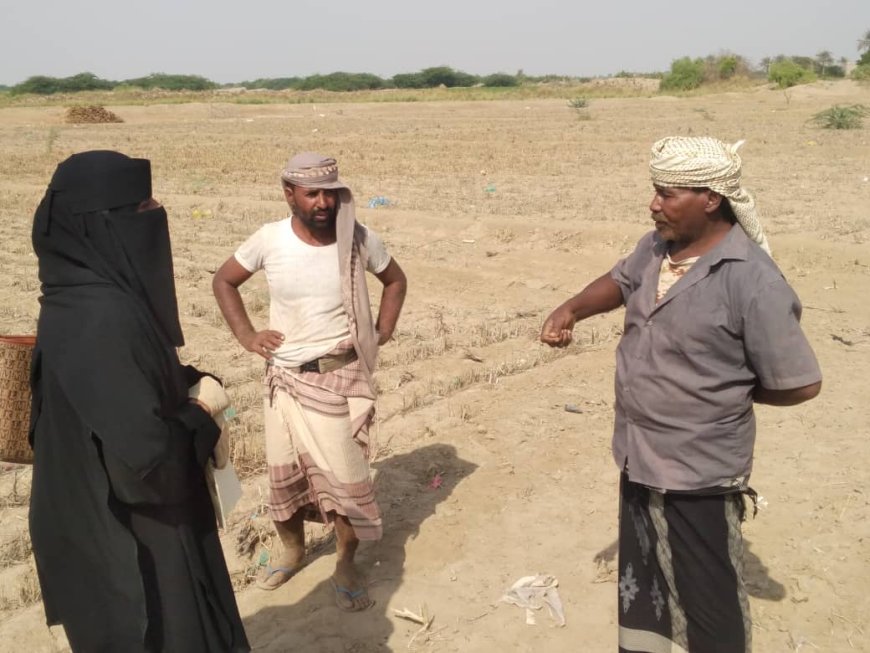 مؤسسة العُلا التنموية.. بصمة خير في قلب أبين