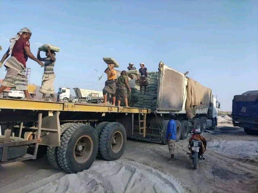استمرار العمل الميداني لضبط الحمولات الزائدة في ميناء المعلا بعدن