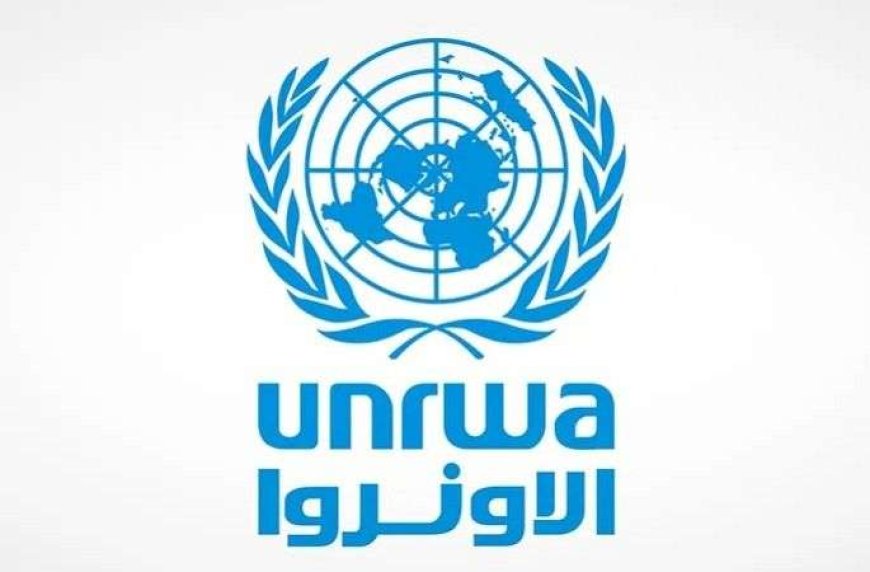 بسبب تدمير إسرائيل الأراضي الزراعية.. الأونروا تحذر من ارتفاع أسعار المواد الغذائية في غزة