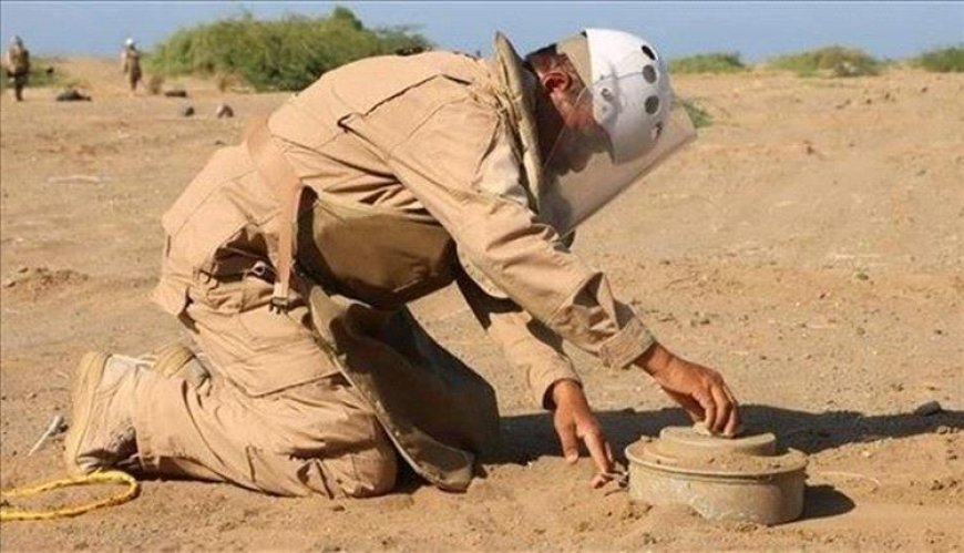 نزع أكثر من 3 آلاف لغم حوثي منذ بداية الشهر الجاري