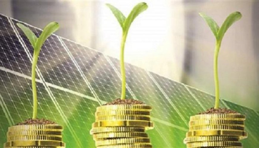 مصر تُسرّع خطواتها نحو الاقتصاد الأخضر بخطط لخفض الانبعاثات